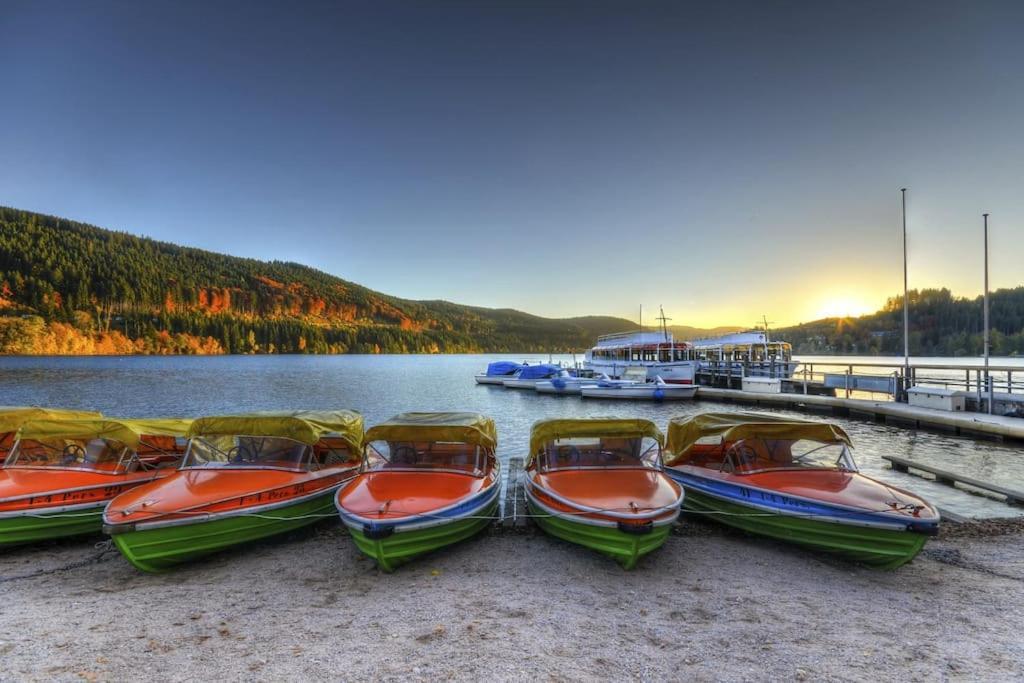 Sieben Tannen Titisee + Hochschwarzwald Card公寓 外观 照片