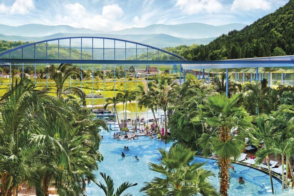 Sieben Tannen Titisee + Hochschwarzwald Card公寓 外观 照片