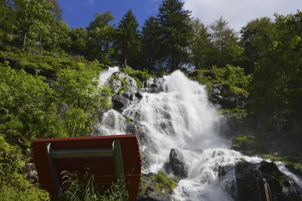 Sieben Tannen Titisee + Hochschwarzwald Card公寓 外观 照片