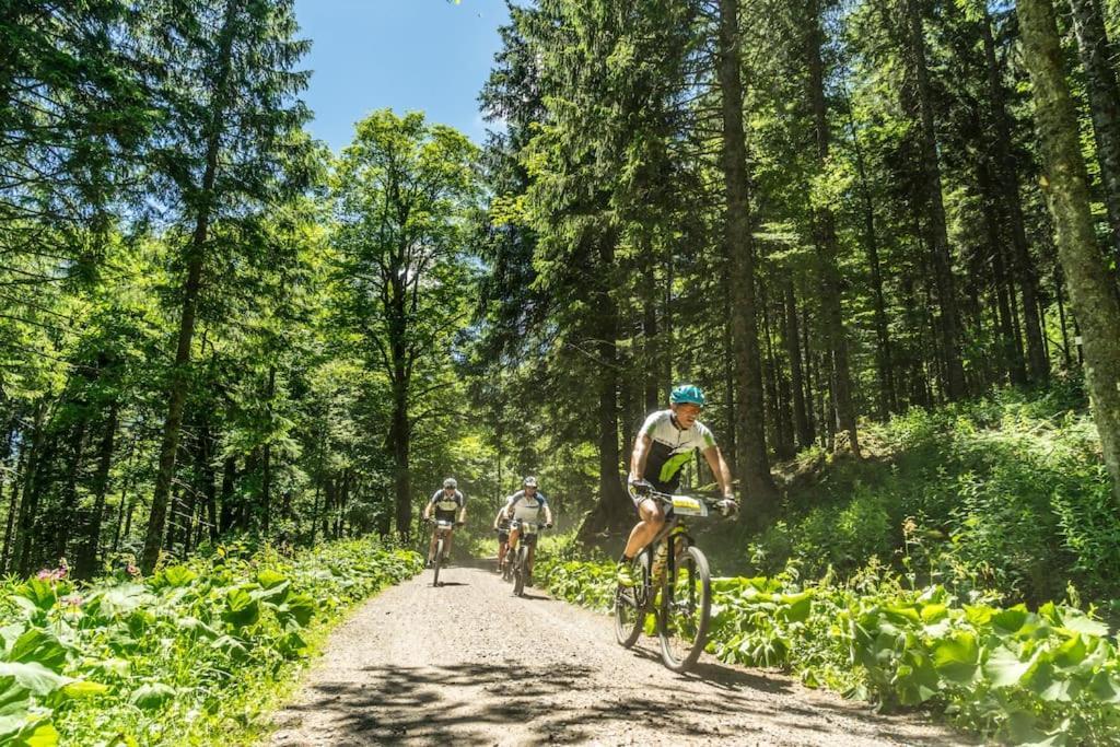 Sieben Tannen Titisee + Hochschwarzwald Card公寓 外观 照片