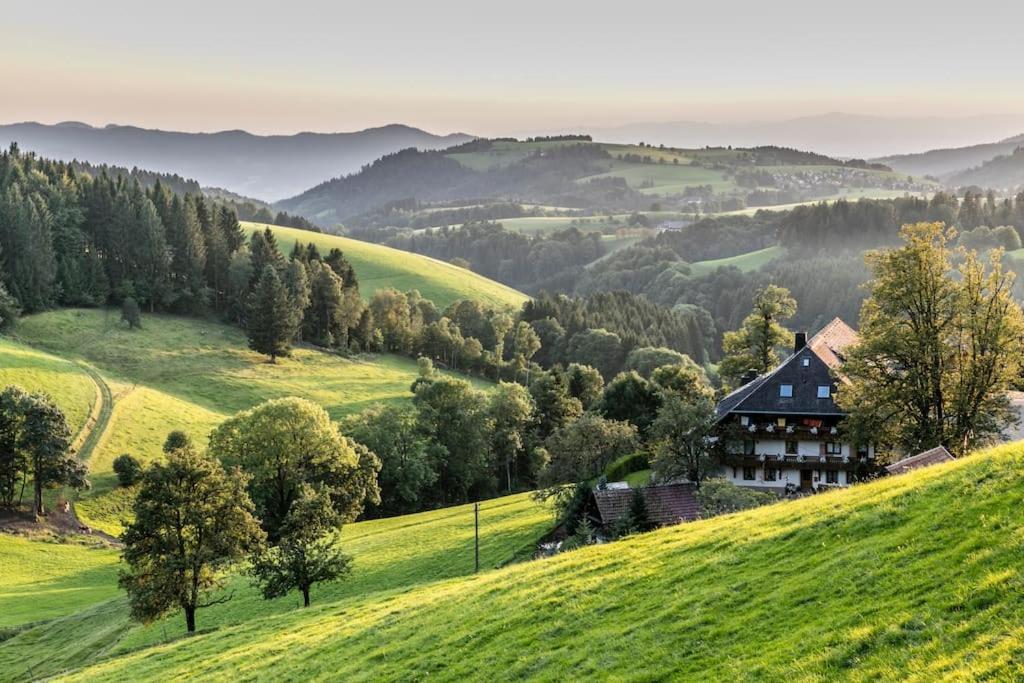 Sieben Tannen Titisee + Hochschwarzwald Card公寓 外观 照片