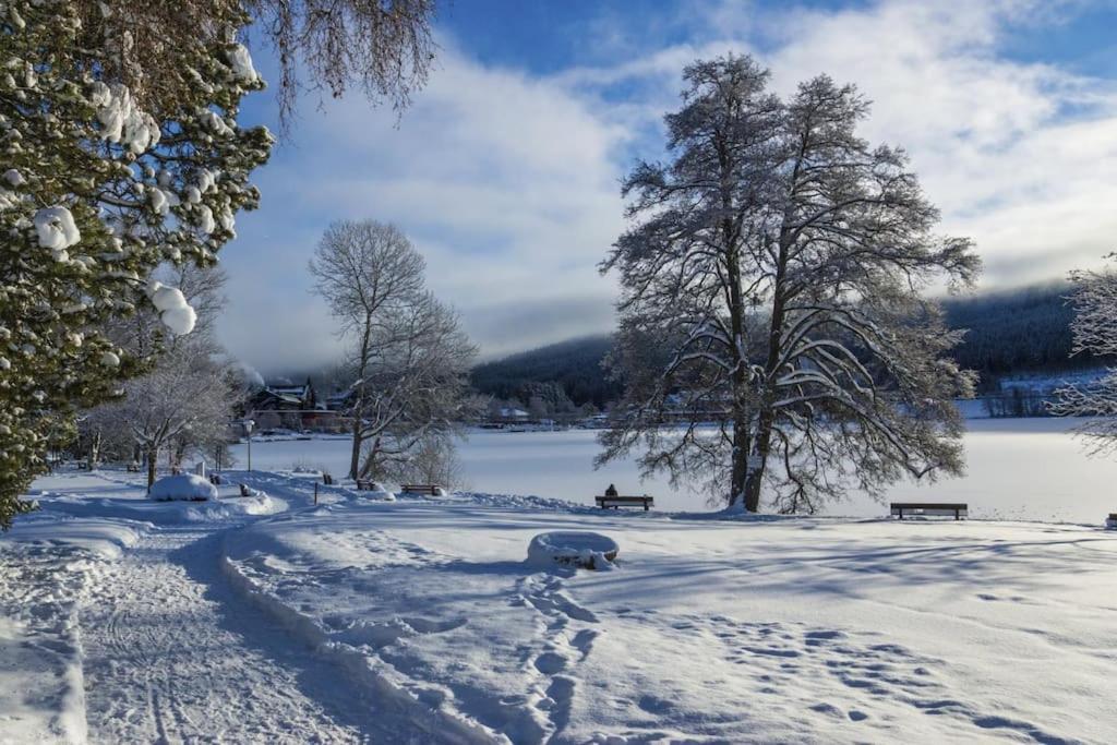 Sieben Tannen Titisee + Hochschwarzwald Card公寓 外观 照片