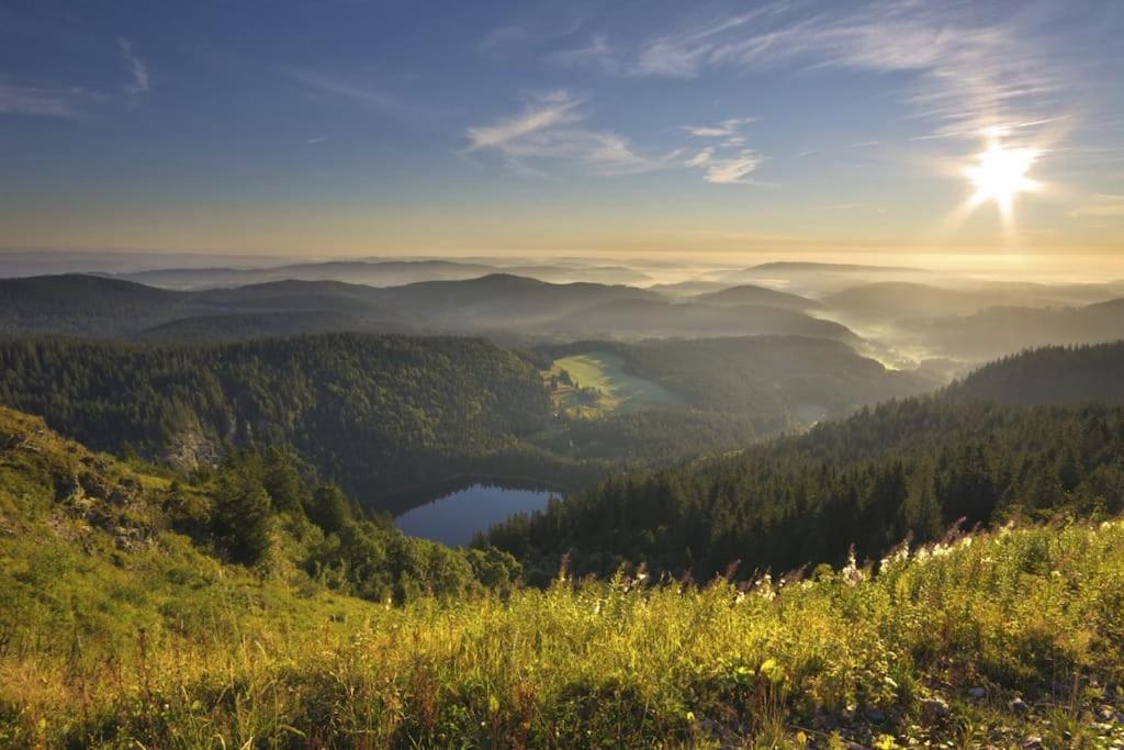 Sieben Tannen Titisee + Hochschwarzwald Card公寓 外观 照片